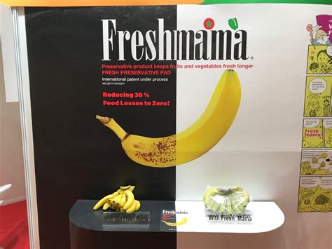 freshmama partners|ラオス国品質保持技術を活用した農産物サプライチェーンの 高 .